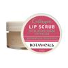 Lip Exfoliator Scrub and Moisturizer  Watermelon Sugar Kiss Fruit Flavor, Sugar Lip Scrub for Dark Lips, Dryness, and Overnight Hydration  For Men & Women, Made in the USA, Botanicals by W.D.D. view 2