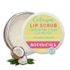 Lip Exfoliator Scrub and Moisturizer  Coconut Dream Fruit Flavor, Sugar Lip Scrub for Dark Lips, Dryness, and Overnight Hydration  For Men & Women, Made in the USA, Botanicals by W.D.D view 1
