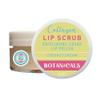 Lip Exfoliator Scrub and Moisturizer  Coconut Dream Fruit Flavor, Sugar Lip Scrub for Dark Lips, Dryness, and Overnight Hydration  For Men & Women, Made in the USA, Botanicals by W.D.D view 2