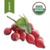 16 fl.oz- Rosehip Oil-Extra virgin Certified Organic Unrefined Cold Pressed Rosa Rubignosa view 2