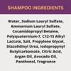 Black Canyon Home and Body Orange Cinnamon Scented Argan Oil Hair Shampoo, 16 Oz (2 Pack) view 4