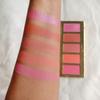 Artist Blusher Palette for Makeup, Long Lasting with matte and shimmer shade (03) view 3