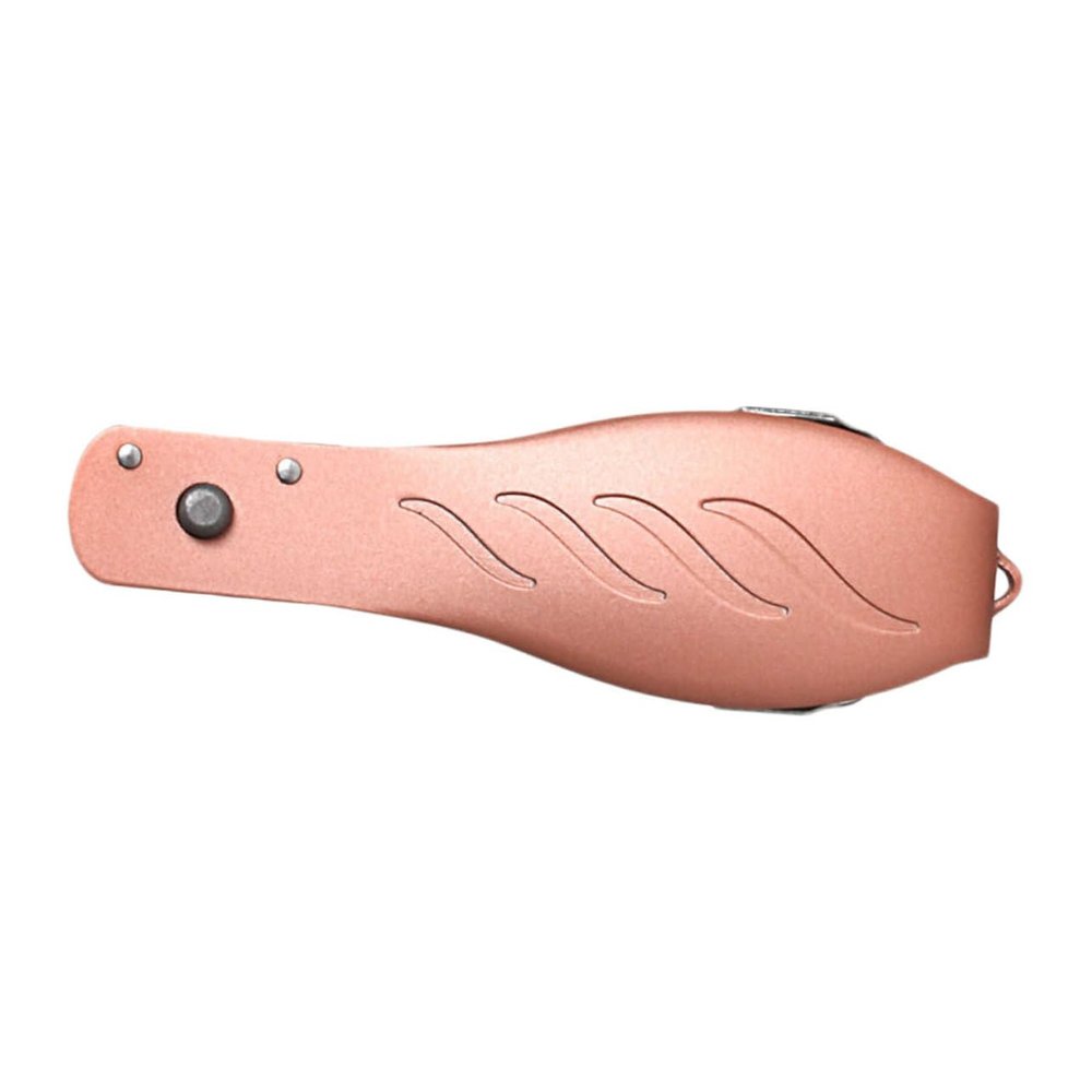Beavorty Folding Stainless Steel Foot Scraper Dead Skin Remover Tool for Pedicure Portable Foot Trimmer for Men and Women Home and Salon Use Protective Case