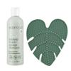 EcoTools Makeup Brush Cleansing Pad + Deep Clean Shampoo Bundle, Brush Cleaner Mat & Makeup Brush Cleanser For Deep Cleaning Tools, Clean Formula, Cruelty-Free, & Vegan, 2 Piece Set view 1