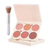6 Colors Blush Palette for Cheeks with Make Up Brush,Face Matte Contour Blush Makeup Palette,Buildable Shimmer Facial Cheek Blusher Shades,Blendable Cosmetic Makeup Blush view 1