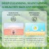 3PCS Tea Tree Soap, Purifying Body Soap Bar with Tea Tree Oil & Coconut Oil, Gentle Cleanser for Healthy, Looking Skin, Plant-Based Formula for Face & Body view 4
