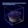 Acrylic Organizer Box - Multi-Purpose Display Case for Jewelry, Collectibles, Makeup, Multi-Level Underwater Photo Prop Box for Product Shooting(12x12x12cm/4.7x4.7x4.7in) view 4