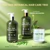 Roycederm Tea Tree Antifungal Scalp Care Set  Pre-Shampoo Scrub + Tea Tree Antifungal Shampoo + Hydrating Conditioner  Itchy & Dry Scalp Relief, Dandruff & Folliculitis Treatment view 2
