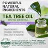 Kesmedik Pure Tea Tree Oil Body & Foot Scrub, Himalayan Salt Exfoliating Scrub with Stem Cells & Shea Butter, Antifungal Defense, Acne Support, Itchy Skin Relief, Removes Dead Skin & Rough Patches view 4
