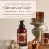 Aromatique Cinnamon Cider Foaming Hand Soap  12 oz Gentle Cleanser with Warm Cinnamon, Apple & Citrus Scent  Moisturizing Fall Soap  Paraben-Free, Made in the USA view 2