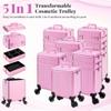 AROUS 5 in 1 Rolling Makeup Train Case Cosmetology Case on Wheels Large Cosmetic Organizer Travel Cart for Hairstylist Artist Nail Beauty Salon Barber,All Pink view 2