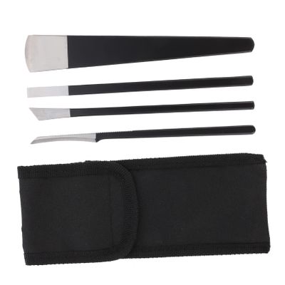 GALPADA 4Pcs Stainless Steel Pedicure Tool for Ingrown Nails Nail Trimmers with Storage Bag for Home and Professional Foot Care Accessories for Smooth Feet