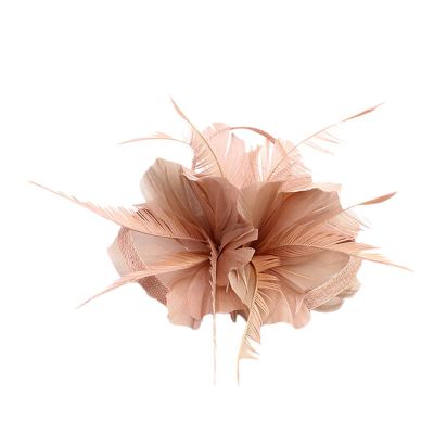 1920s Flapper Headband Feather Headpiece 20s Great Gatsby Inspired Leaf Medallion Pearl Headband Women Hair Accessorie(Hot Pink)