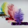 10 Colors Women Head Band Beaded Sequin Flapper Feather Headband Headpiece Party Costume Headband Hair Accessories(TP0170L) view 2