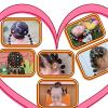 100pcs 3CM Hair Accessories Girls Rubber Bands Scrunchy Elastic Hair Bands Headband Decorations Ties for Hair(15,50 pcs 3cm) view 3