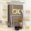 BROWSXPERT Professional Shading Touch-Up Kit  Herbal Henna Color Powder with Mixing Dish, Stir & Brush + Follow Instructions | 3.5g | Light Brown view 3