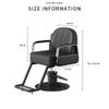Adjustable Barber Chair, 360 Swivel Professional Salon Chair with Footrest, Beauty Hydraulic Shaving Styling Hairdresser's Chair,Gray,A view 2