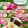 Botanical Beauty Whipped HONEYSUCKLE OIL BUTTER 100% Natural Pure RAW Cocoa Butter Shea Nut Butter Honeysuckle Essential Oil Virgin Unrefined Cold Pressed for FACE SKIN BODY (4 Fl Oz (Pack of 1)) view 3