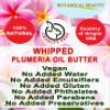 Botanical Beauty Whipped PLUMERIA OIL BUTTER 100% Natural Pure RAW. Cocoa Butter, Shea Nut Butter, Plumeria Oil Virgin Unrefined Cold Pressed for FACE, SKIN, BODY, HAIR, NAILS. (4 Fl Oz 120 ml) view 4