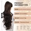 ZQIAN BEAUTY Clip on Ponytails for Women - 26 Inch Long Ponytail Extension, Wavy Pony Tails Hair Extensions, Synthetic Hair Extensions Ponytail, Clip in Ponytail (Color: Chocolate Brown) view 2