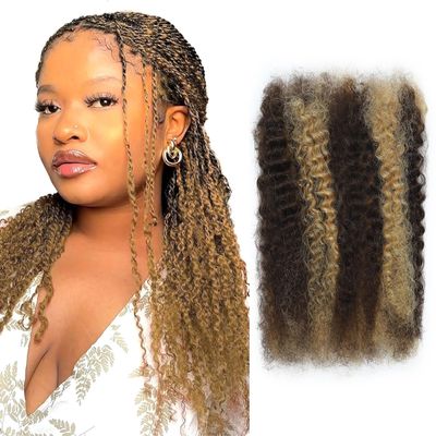 Afro Kinkys Bulk Human Hair for Mini Twist, Braiding, Loc Extensions & Crochet, 24 Inch 100g Highlight Kinky Curly Hair Bundles, 100% Real Human Hair Natural Black Afro Bulk for Dreadlocks