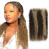 Afro Kinkys Bulk Human Hair for Mini Twist, Braiding, Loc Extensions & Crochet, 24 Inch 100g Highlight Kinky Curly Hair Bundles, 100% Real Human Hair Natural Black Afro Bulk for Dreadlocks view 1