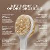 Shower Brush for Massage Dry Brushing: Back Scrubber for Shower with 18.1 in Anti Slip Long Handle - Bath Body Brush for Lymphatic Drainage Exfoliator Improving Skin Health for Women Men Elderly Green view 2