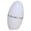 Beavorty Volcanic Stone Face Roller Oil Absorbing Ball for Oily Skin Pore Minimizing Makeup Tool Portable Facial Oil Remover for Travel 1 Count view 1