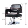 A1DFDFGOQSFG Hair Cutting Salon Chair Salon Chair Barber Chair Hydraulic Reclining Barber Chair Hair Styling Chair Beauty Salon Chair Salon Styling Beauty Equipment (Color : B) view 3