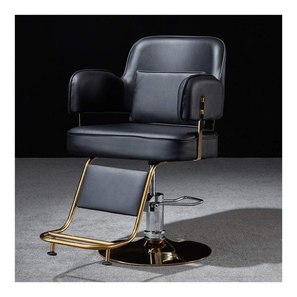 A1DFDFGOQSFG Hair Cutting Salon Chair Barber Chair Salon Hair Chair Styling Chair with Hydraulic Pump Barber Chair Salon Styling Beauty Equipment