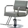 A1DFDFGOQSFG Hair Cutting Salon Chair Barber Chair Hydraulic Barber Chairs Heavy Duty 360 Degrees Rolling Salon Chair for Hair Stylist Salon Equipment Salon Styling Beauty Equipment (Color : Lig view 1