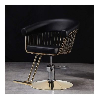 A1DFDFGOQSFG Hair Cutting Salon Chair Tattoo Chair Barber Chairs Heavy Duty Hydraulic Reclining Hair Styling Chair Salon Chair Salon Styling Beauty Equipment (Color : B) (A)