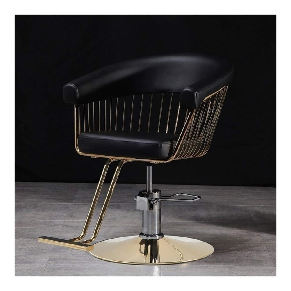 A1DFDFGOQSFG Hair Cutting Salon Chair Tattoo Chair Barber Chairs Heavy Duty Hydraulic Reclining Hair Styling Chair Salon Chair Salon Styling Beauty Equipment (Color : B) (A)