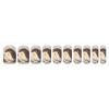 Cute Little Hedgehog Nail Stickers 50 Sheets Gloss Nail Strips Bundle Long Lasting Gel Nail Stickers Art Decals Easy to Apply and Remove for Women DIY Decorations view 1
