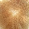 Blonde Hair Units for Black Men Full Poly PU Curly Afro Toupee for Man Human Hair Replacement 6MM Afro Hair System 22R# Light Blonde,8X10" (6MM Afro Curl) view 4