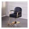A1DFDFGOQSFG Hair Cutting Salon Chair Barber Chair for Stations Salon Chair for Hair Stylist Tattoo Chair Heavy Duty Barber Salon Salon Styling Beauty Equipment view 1