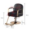 A1DFDFGOQSFG Hair Cutting Salon Chair Barber Chair for Stations Salon Chair for Hair Stylist Tattoo Chair Heavy Duty Barber Salon Salon Styling Beauty Equipment view 2