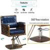A1DFDFGOQSFG Hair Cutting Salon Chair Swivel Barber Chair Hydraulic 360  Swiveling Height Adjustable Hairdressing Chair Salon Tattoo Chair Salon Styling Beauty Equipment view 4