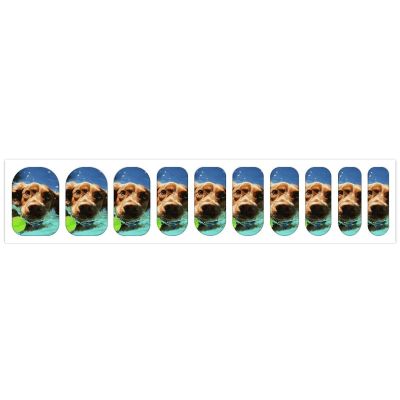 Funny Swimming Dog Nail Stickers 50 Sheets Gloss Nail Strips Bundle Long Lasting Gel Nail Stickers Art Decals Easy to Apply and Remove for Women DIY Decorations