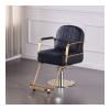 A1DFDFGOQSFG Hair Cutting Salon Chair Hydraulic Hair Salon Styling Barber Chair Cover Classic Recliner Heavy Duty Hair Spa Salon Styling Beauty Salon Styling Beauty Equipment view 1