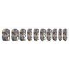 Funny Cute Squirrel Nail Stickers 50 Sheets Gloss Nail Strips Bundle Long Lasting Gel Nail Stickers Art Decals Easy to Apply and Remove for Women DIY Decorations view 1
