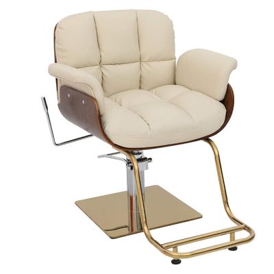 A1DFDFGOQSFG Hair Cutting Salon Chair Hair Salon Chair in Beauty Personal Care Barber Chairs Heavy Duty Reclining Hydraulic Hair Styling Chair Salon Styling Beauty Equipment