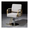 A1DFDFGOQSFG Hair Cutting Salon Chair Salon Chair Barber Chair Booster Hydraulic Reclining Hair Styling Chair Salon Chair Salon Styling Beauty Equipment view 1