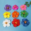10 Pcs Flower Hair Clips for Women, 3.94 Inch Hibiscus Hawaiian Flower Clips for Hair Accessories, Beach Party (White) view 2