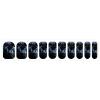 Panther with Blue Eyes Nail Stickers 50 Sheets Gloss Nail Strips Bundle Long Lasting Gel Nail Stickers Art Decals Easy to Apply and Remove for Women DIY Decorations view 1
