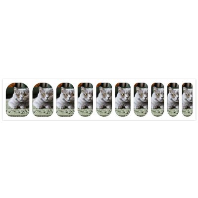 Cat on Carpet Nail Stickers 50 Sheets Gloss Nail Strips Bundle Long Lasting Gel Nail Stickers Art Decals Easy to Apply and Remove for Women DIY Decorations
