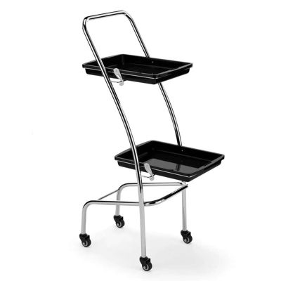 YHHLWXMDZ Salon Stations for Hair Stylist, Salon Trolley Cart with Wheels, 2 Layers Salon Tray with Wheels, for Tools Storage(Black)
