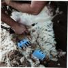 BESPORTBLE Sheep Shear Guide Attachment for Grooming Clippers Adjustable Plastic Trimmer Guide for Sheep and Goat Shearing Professional Clip Accessory Precise Measurement view 4