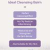 Hwarang' Bellflower Cleansing Balm | Cleansing Balm for Waterproof Makeup | Gentle on Eyes | Deep Clean & Moisture Barrier Care | Skin-Loving Moisture | 3.4 Fl Oz view 3