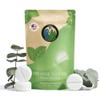 Eucalyptus Shower Steamers by Terra Essentials  12 Showers Aromatherapy Tablets with Eucalyptus & Mint, Natural, Made in USA, Stress Relief & Relaxation Gift view 1